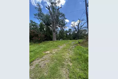 6447 State Hwy 155, Gilmer, TX 75645 - Photo 7