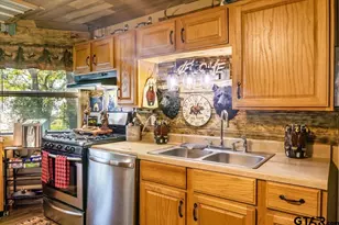 16074 Co Rd 4256, Henderson, TX 75654 - Photo 13