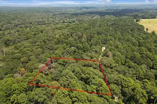 2040 Valleywood Trail, Holly Lake Ranch, TX 75765 - Photo 43