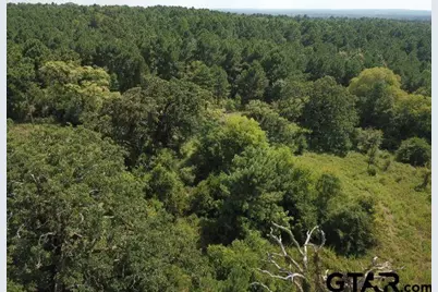 Tbd County Road 2218, Rusk, TX 75785 - Photo 3