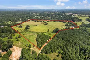 4650 S Fm 3310, Henderson, TX 75654 - Photo 39