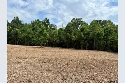 Tbd County Road 3408, Jefferson, TX 75657 - Photo 9