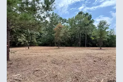 Tbd County Road 3408, Jefferson, TX 75657 - Photo 7