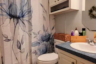 528 Co Rd 3980, Winnsboro, TX 75494 - Photo 15