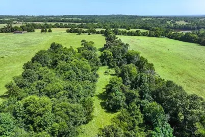 00 County Road 4501, Jacksonville, TX 75766 - Photo 13