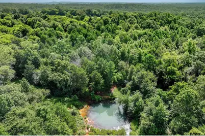 00 County Road 4501, Jacksonville, TX 75766 - Photo 21