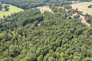 1655 County Rd 2120, Maydelle, TX 75772 - Photo 9