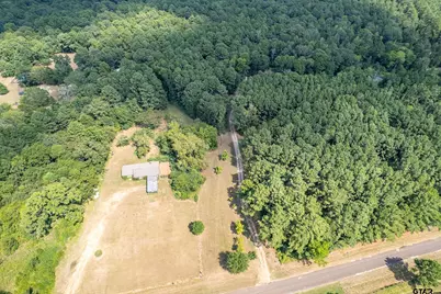 1655 County Road 2120, Maydelle, TX 75772 - Photo 7