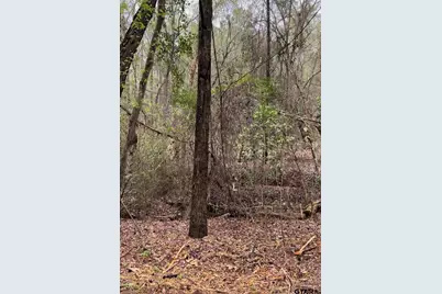 5152 Shiloh Ridge, Tyler, TX 75703 - Photo 7