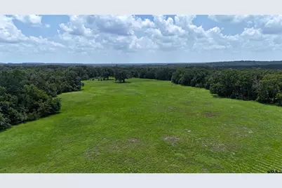 Tbd Cr 4613, Athens, TX 75751 - Photo 7