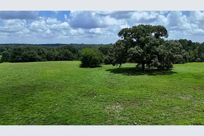 Tbd Cr 4613, Athens, TX 75751 - Photo 13