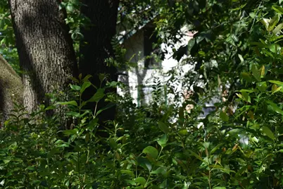 10946 Clover Ln., Frankston, TX 75763 - Photo 7