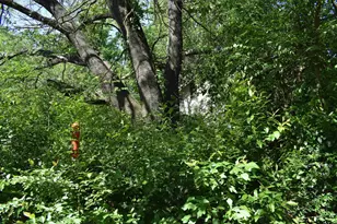 10946 Clover Ln, Frankston, TX 75763 - Photo 1