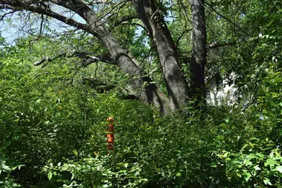 10946 Clover Ln., Frankston, TX 75763 - Photo 9