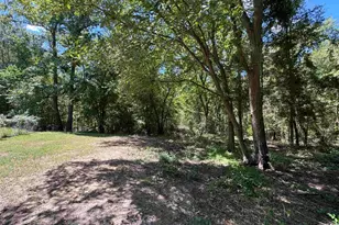 4159 Scrub Pine Rd, Big Sandy, TX 75755 - Photo 11