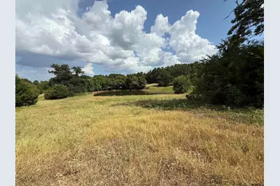 Tbd Cr 3307 - 5 Acres, Jacksonville, TX 75766 - Photo 7