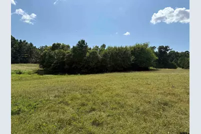 Tbd Cr 3307 - 5 Acres, Jacksonville, TX 75766 - Photo 13