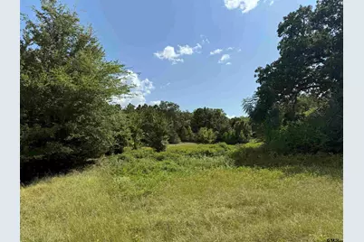Tbd Cr 3307 - 5 Acres, Jacksonville, TX 75766 - Photo 11