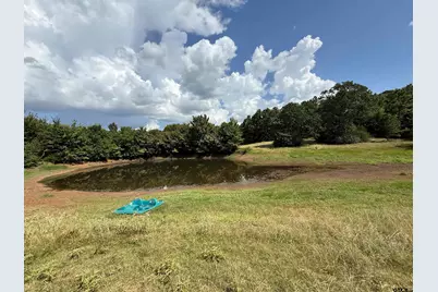 Tbd Cr 3307 - 5 Acres, Jacksonville, TX 75766 - Photo 3