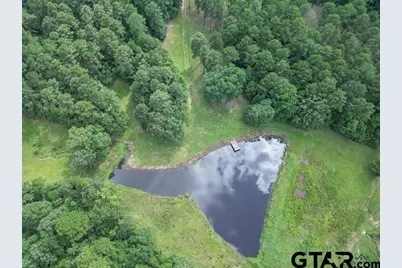 2770 Fm 726, Diana, TX 75640 - Photo 3