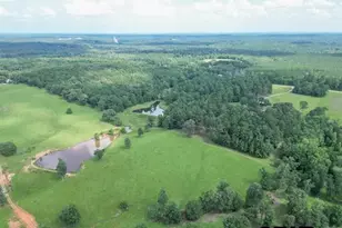 2770 FM 726, Diana, TX 75640 - Photo 43