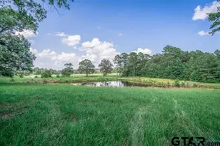 2770 FM 726, Diana, TX 75640 - Photo 41