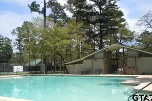 1052 Greenbriar Trail, Holly Lake Ranch, TX 75765 - Photo 33