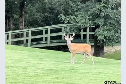 1052 Greenbriar Trl, Holly Lake Ranch, TX 75765 - Photo 37