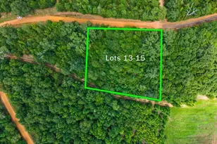 Tbd Indian Mound Lots 13 14 & 15, Hawkins, TX 75765 - Photo 1