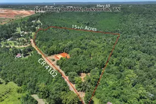 1249 Co Rd 4102, Jacksonville, TX 75766 - Photo 1