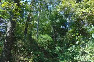 877 Caroline Bnd, Bullard, TX 75757 - Photo 9