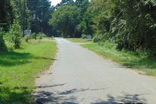 877 Caroline Bnd, Bullard, TX 75757 - Photo 13