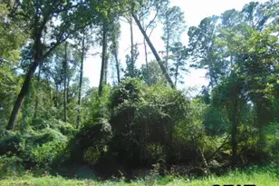 877 Caroline Bnd, Bullard, TX 75757 - Photo 5