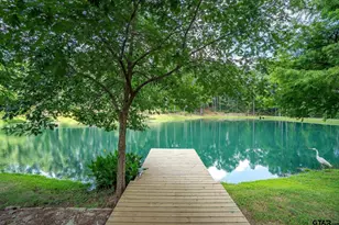 165 Whistler Ln, Hallsville, TX 75650 - Photo 29