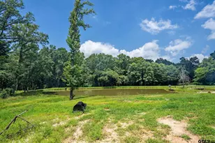 165 Whistler Ln, Hallsville, TX 75650 - Photo 35