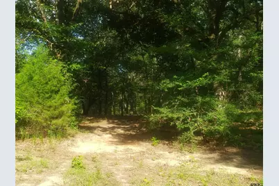 650 County Road 3643, Dike, TX 75437 - Photo 7