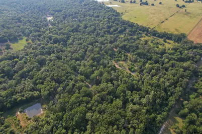 650 County Road 3643, Dike, TX 75437 - Photo 23