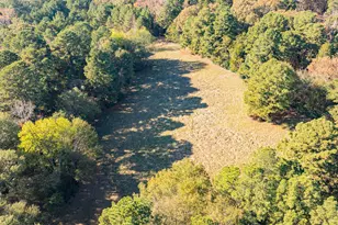 1855 Phillips Springs Rd, Gladewater, TX 75647 - Photo 43