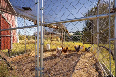 1855 Phillips Springs Rd, Gladewater, TX 75647 - Photo 33