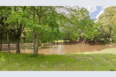 1855 Phillips Springs Rd, Gladewater, TX 75647 - Photo 43