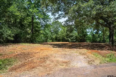 Tract 1 County Road 4102, Jacksonville, TX 75766 - Photo 9