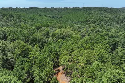 Tract 1 County Road 4102, Jacksonville, TX 75766 - Photo 5
