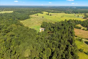 1663 Co Rd 4510, Pittsburg, TX 75686 - Photo 35