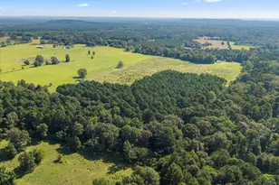 1663 Co Rd 4510, Pittsburg, TX 75686 - Photo 31