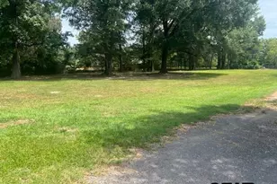 1918 and 1894 US Hwy 259 S, Diana, TX 75640 - Photo 3