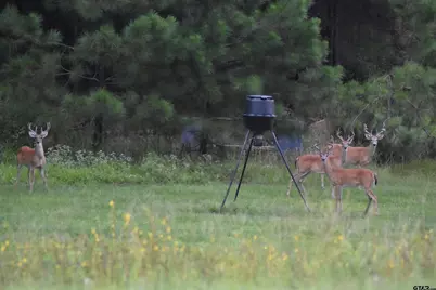 9040 County Road 3600, Brownsboro, TX 75756 - Photo 39