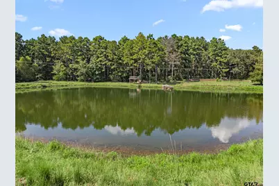 9040 County Road 3600, Brownsboro, TX 75756 - Photo 43