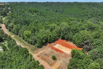 Tract 2 County Road 4102, Jacksonville, TX 75766 - Photo 13