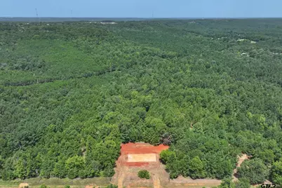 Tract 2 County Road 4102, Jacksonville, TX 75766 - Photo 11