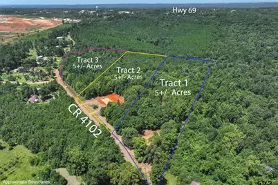Tract 3 County Road 4102, Jacksonville, TX 75766 - Photo 13